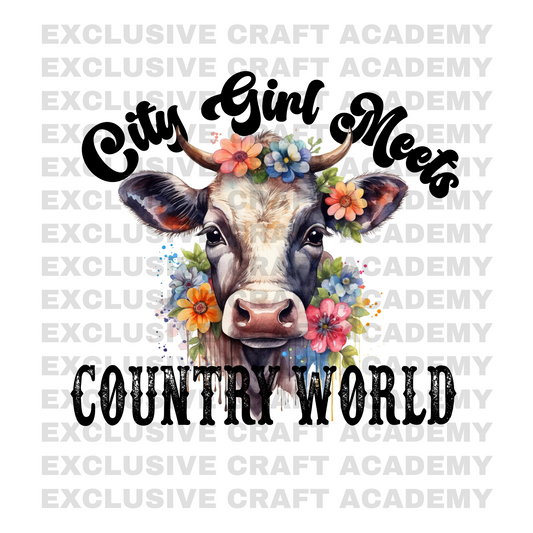 City Girl Meets Country World PNG