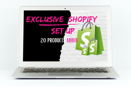 Exclusive Shopify Set Up